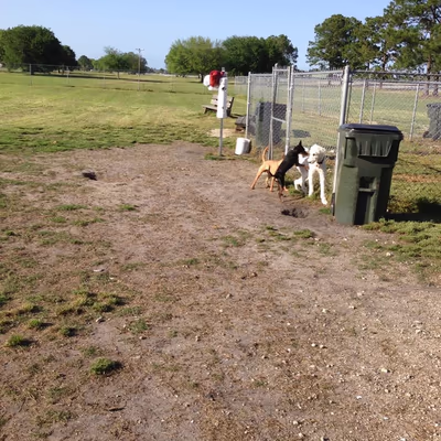 Blue Streak Dog Park photo 2
